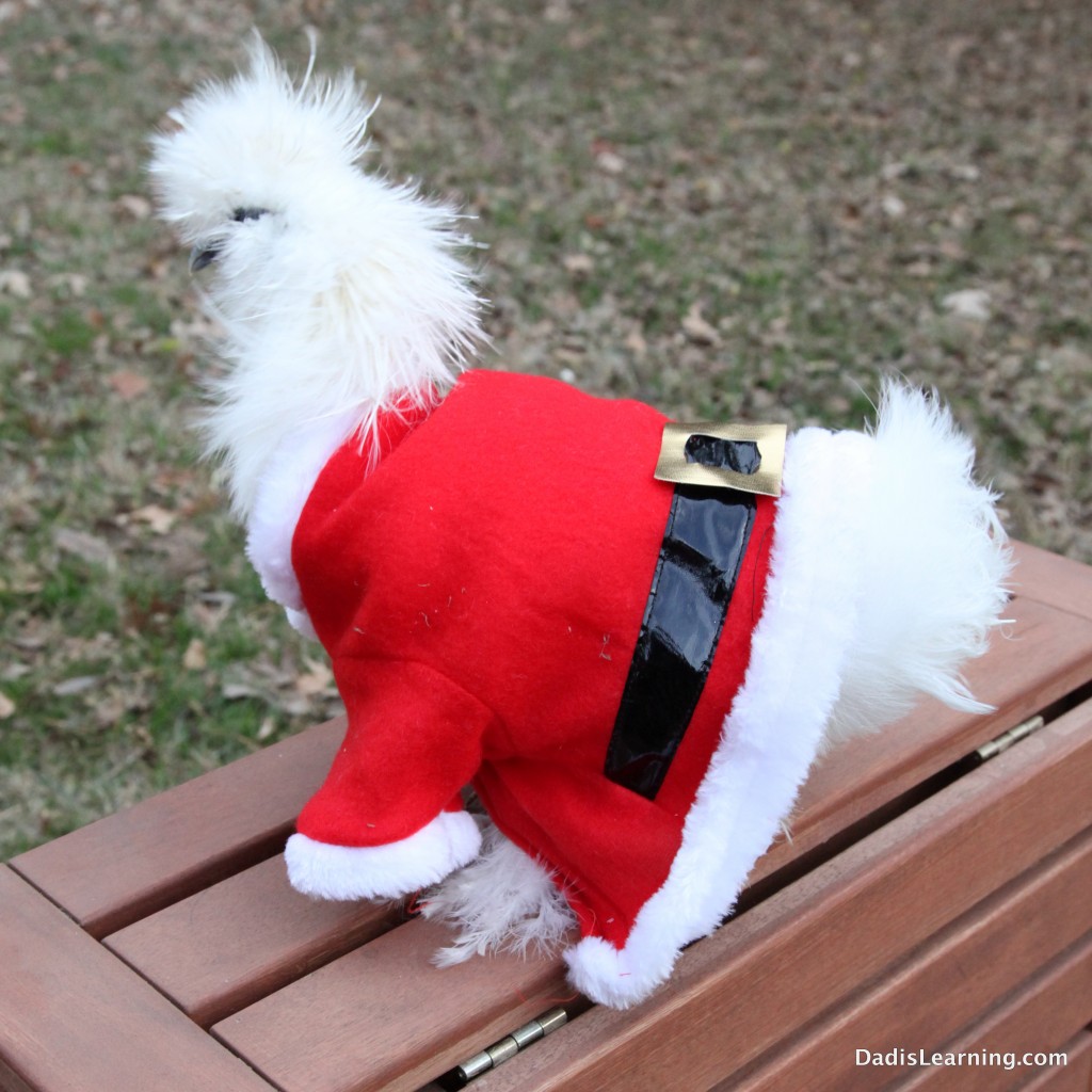 Chicken Santa Suit