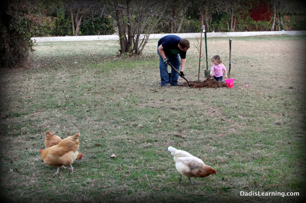 family working together