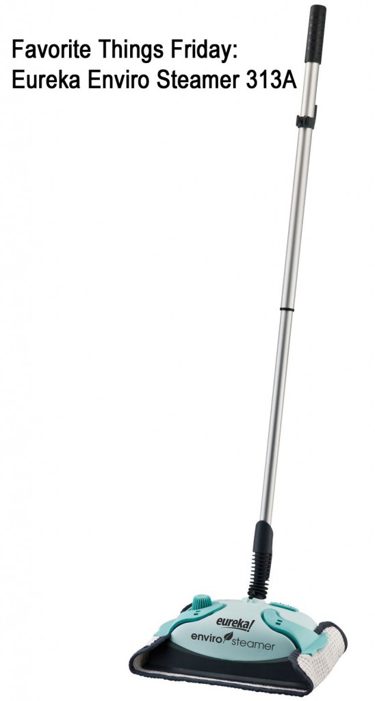 Eureka Steam Mop